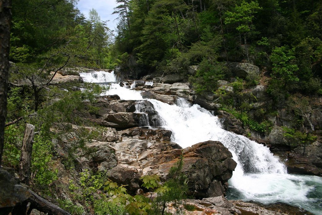 Jacks River Trail hike in Georgia