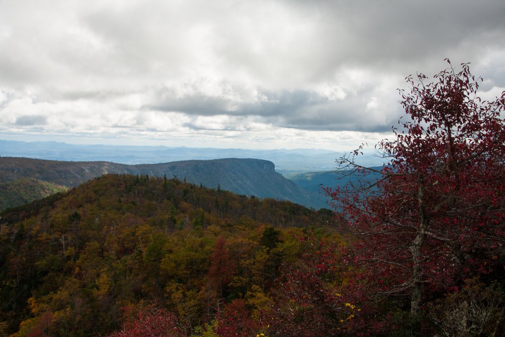 Pisgah National Forest in Nebo, NC