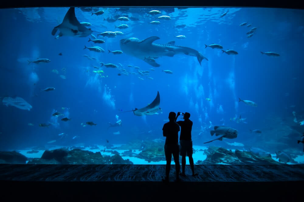 Aquarium of the Pacific in Long Beach