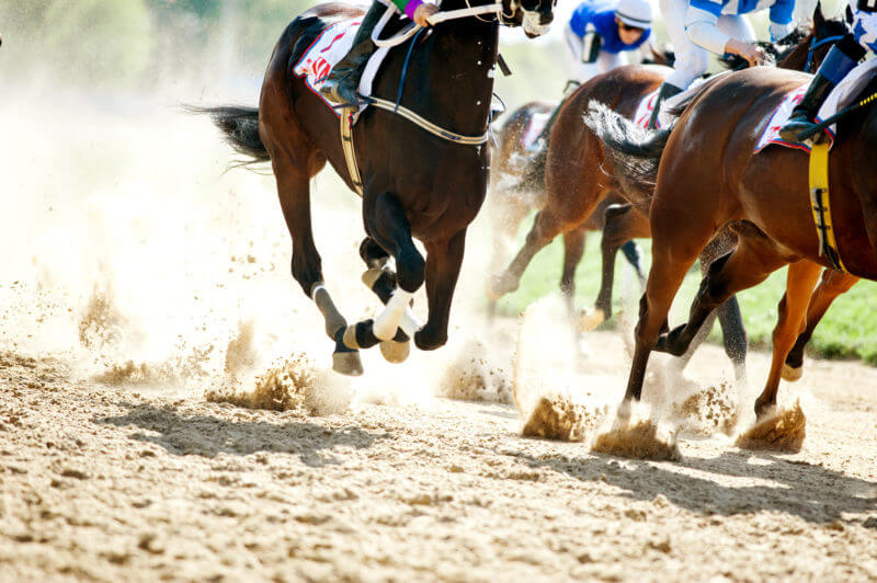 horses running on sand