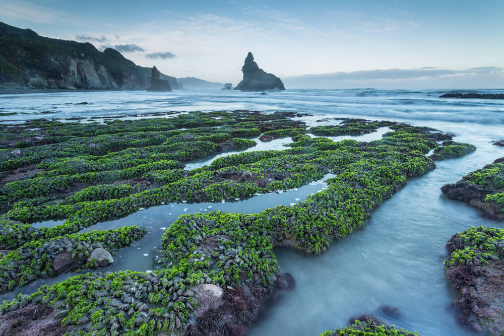 South Island, New Zealand